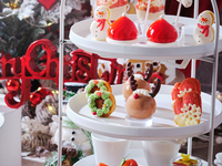 【土日 通常プラン（犬同伴無し）】大人/中学生以上ハピネスクリスマス