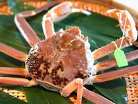 Matsuba crab: 60,000 to 80,000 yen (price for 2 people)