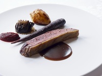 【LE CHENE】Canard（カナール）