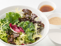 Mixed Leaf Salad Japanese Dressing