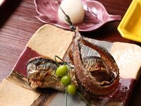 카운터 — 올 인클루시브 코스 ¥25,000