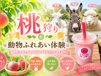 ★桃40分食べ放題+動物ふれあい体験～いちごスムージーとミニクレープつき～【土日祝】