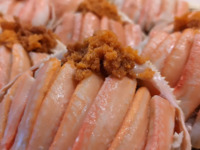 Seasonal limited!! Omakase course with female snow crab — Weekdays (Counter)