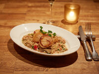 Dinner course at Indoor Dining Table