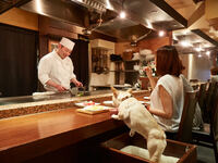 ==周末及节假日允许携带宠物== 宠物营养师 狗粮菜单