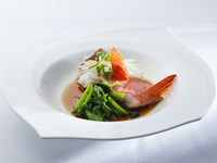 【New year 2025】DELIGHT SWALLOW