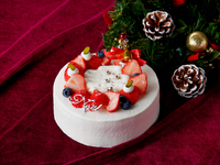 【Xmasケーキ】ストロベリーショート5号