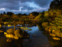 【12/24・25｜生演奏付きディナー】神苑の夜景と共に楽しむフレンチ｜鹿肉のロースト含むメインなど5品コース