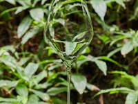 ペアリングワイン3種