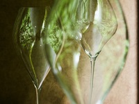 ペアリングワイン4種