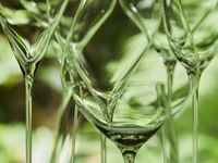 ペアリングワイン5種