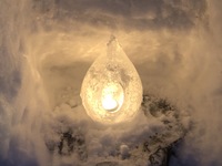 クリスマススペシャルディナー