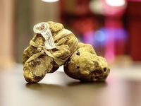 All Inclusive Course [¥40,000]