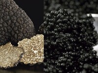 49500円コース Dinner 2025 