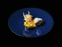 【LUNCH】ベジタリアンシグネチャーコース