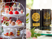 【土日 ティーセレクションプラン（犬同伴無し）】大人/中学生以上ハピネスクリスマス