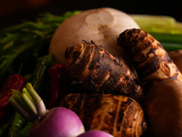 [Night Omakase Course] 22,000 yen