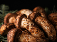 【秋のおまかせコース】33,000円