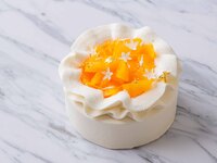 Citrus Whole Cake 12cm / 4,500JPY