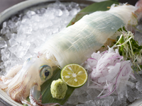 【早割予約プレミアム20】【ランチ限定】おまかせ8,800円　いか付き