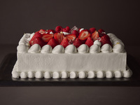 ノエル ブラン  XL  四角型【 ¥16,000円(税別) 】