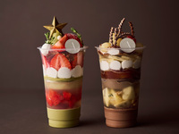 パルフェ ア アンポルテ (フレーズピスターシュ・ショコラポワール) 2種入り【 ¥4,800円(税別) 】