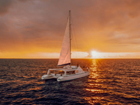 [Guests only] 2026Sunset cruise for adults (shoulder season)1/1-1/31