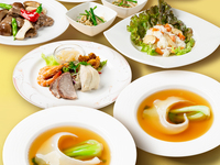 【公式 最安値保証】ディナータイム＃11月謝恩特別プラン　ふかひれコース 12,000円→9,600円（税込サ別）