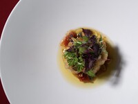 【Dinner】Early Christmas Dinner Course(12/4~12/19)