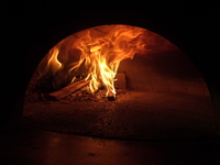 2025年Xmasコース　ワインペアリング5種付き