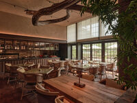 From November 10th [Weekday Lunch] PLANTS "Vegetables, herbs, and charcoal grilled pork shoulder as the main course - a total of four dishes"