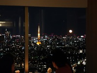 【2025Xmas dinner】★窓側確約★ふかひれと鮑の煮込みなど＋おすすめスパークリング付き