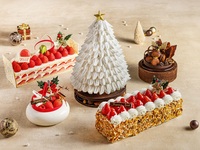 ♢♦ Introduction to the Christmas Collection 2026 ♦♢