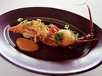 [DINNER] Noel 2025 — The Ultimate Christmas Special Dinner Course, 9 Courses (Dec 19–25)