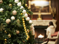 【Christmas Dinner】 Noel (Oscietra Caviar) 12/20~12/25