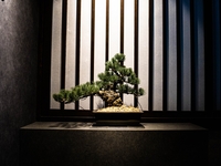 よいん肉尽くし