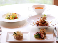 ＜ランチ＞ヴィーガンランチコース