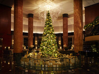 【12/15 - 12/25】Sparkling Wine付きクリスマスディナーブッフェ