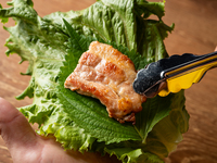 【120分飲み放題付き】サムギョプサル鉄板×韓国人気料理＆ビール・マッコリ・チャミスルも飲み放題！4000円