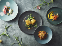 1月/3月 ディナーコース (全4品)