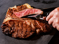 "T Genesis" desde dic.