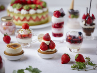 Strawberry Dessert Buffet (children ages 4–12 / elementary school students)