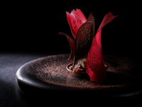 【LUNCH】Holiday Lunch 5course +One Glass of Champagne