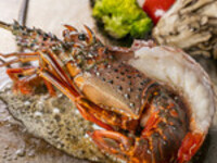 [New Year's holiday] Dinner Lobster Course 10 dishes ¥11,000 (¥12,100 including tax)