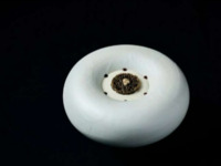 【12/19-12/22ディナー】 クリスマスディナー6品コース+グラスシャンパーニュKRUG１杯 +ワインペアリング5杯付  