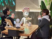 （11/16～）周年纪念日可选糖果