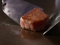 WAN Congratulations course