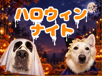 🎃ハロウィンナイト🎃初来店も大歓迎！