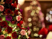 【Christmas Dinner】Signature afternoon tea with a glass Champagne/Main Meat Dish/Macaron 12/20～12/25