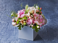 【Option】Birthday Package B　 (1/1～)　